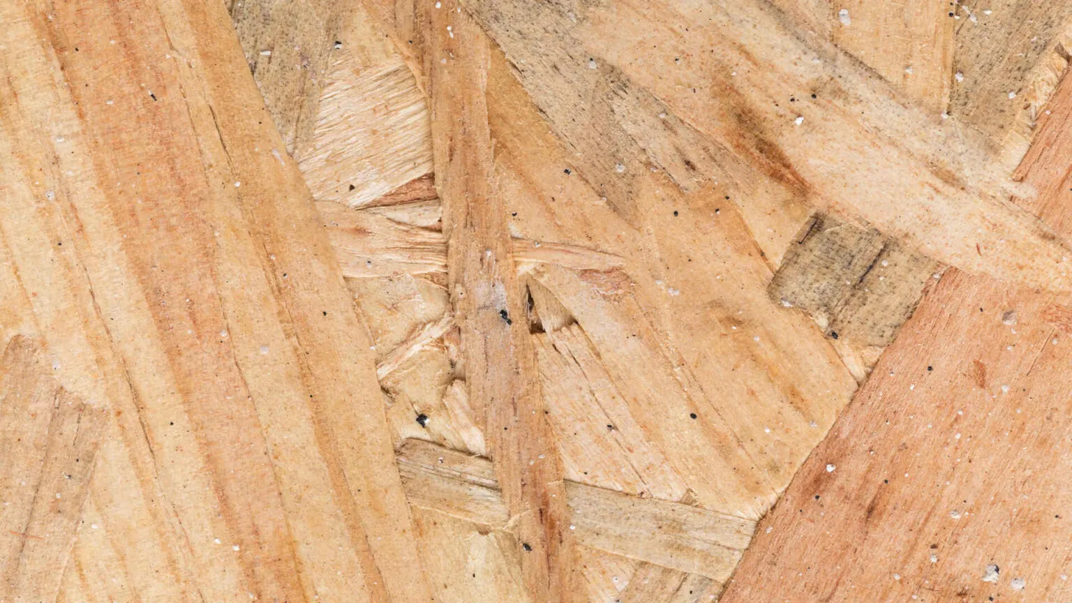 Every Plywood Treated Against Termite and Borer