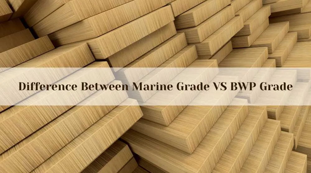 Marine Grade Plywood Manufacturers